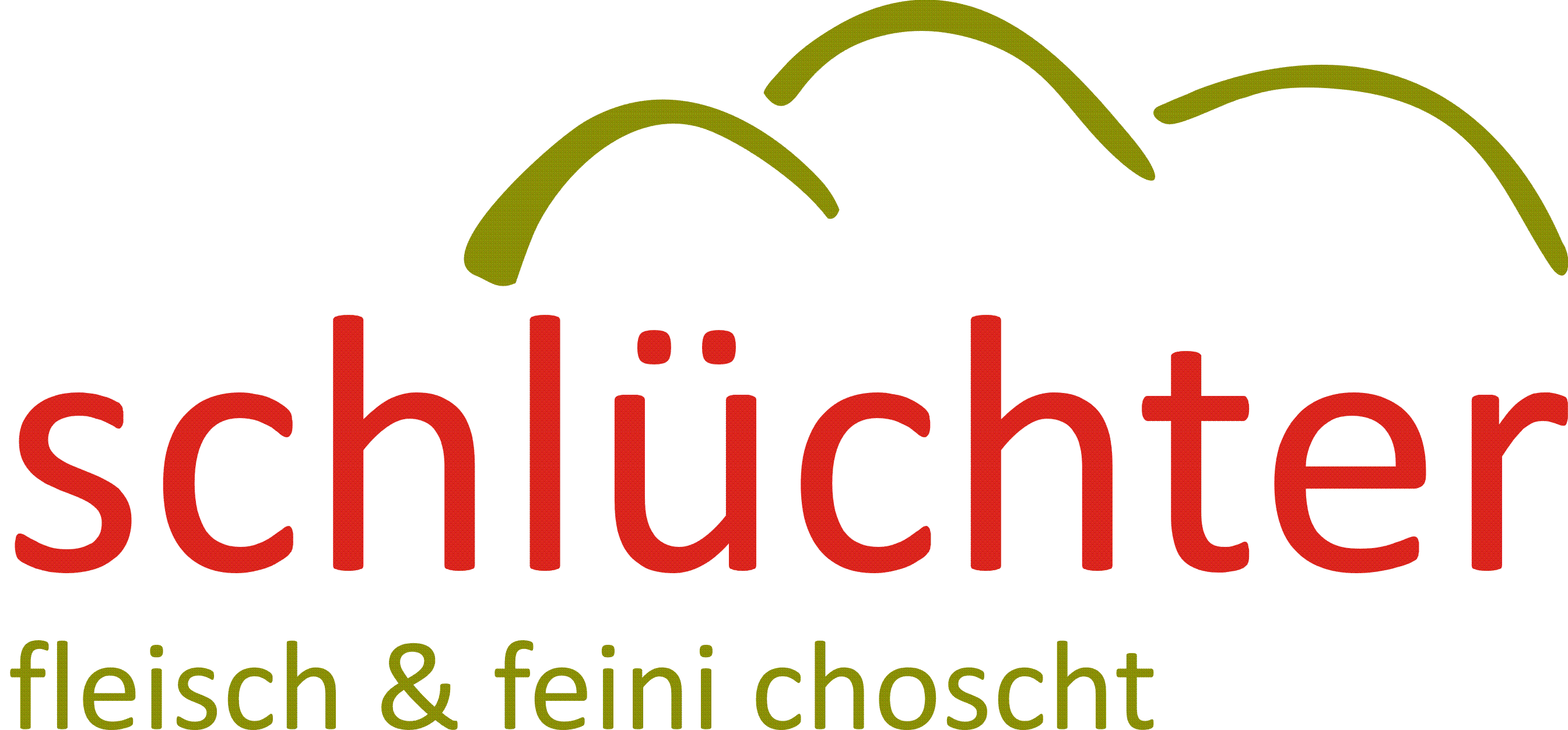 Feini Choscht logo